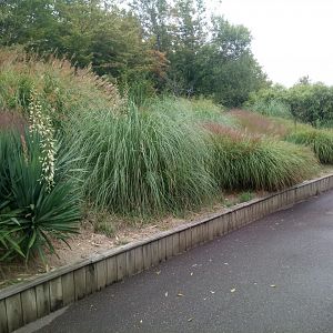 Access to Sea Lions Bay