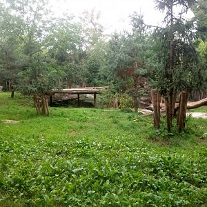 White Tigers Exhibit