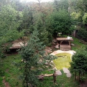 White Tigers Exhibit