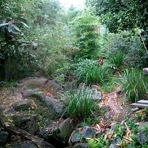 Fishing Cats Exhibit