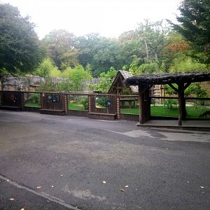 Binturongs and Reeves's Muntjacs Exhibit