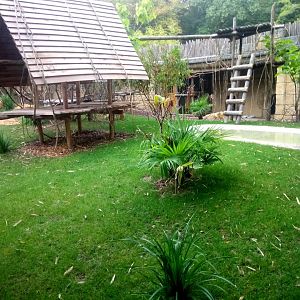 Binturongs and Reeves's Muntjacs Exhibit