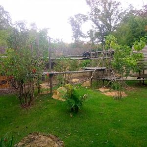 Binturongs and Reeves's Muntjacs Exhibit