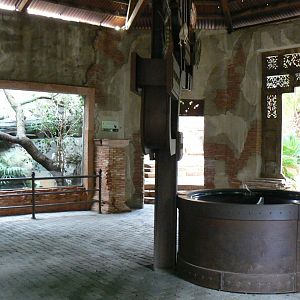 Crested partridge exhibit