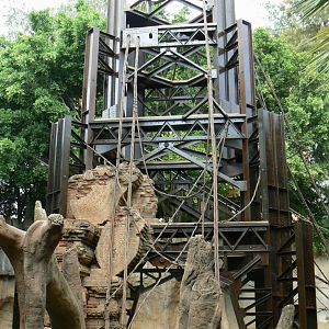 Bornean orangutans exhibit