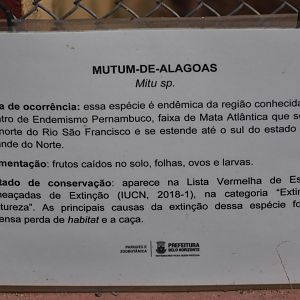 Sign for "Alagoas mitu"
