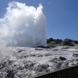 Pohotu geysir, New Zealand, November 2015