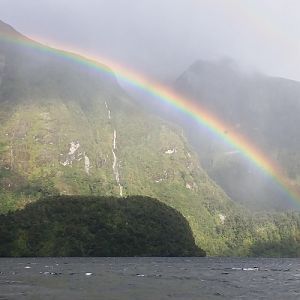 NZ Rainbow