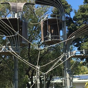 Sumatran Orangutan Exhibit