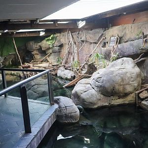 Freshwater Fish Area