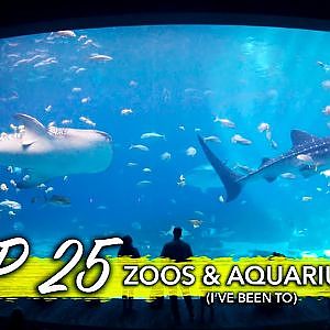 Ranking All 25 Zoos & Aquariums I've Been To