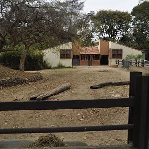 White rhinoceros enclosure