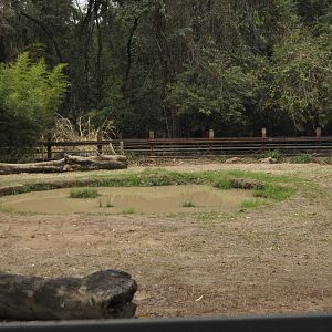 White rhinoceros enclosure