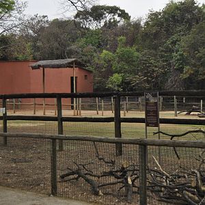Giraffe house and enclosure
