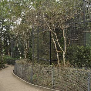 Small monkeys aviaries