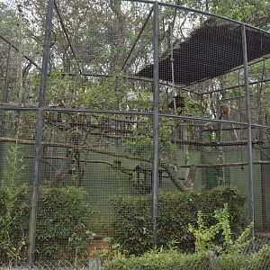 Typical smaller monkey aviary