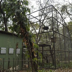 Capuchin monkey aviary
