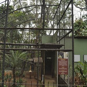 Howler monkey aviary