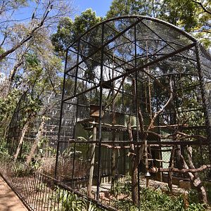 Capuchin monkey aviary