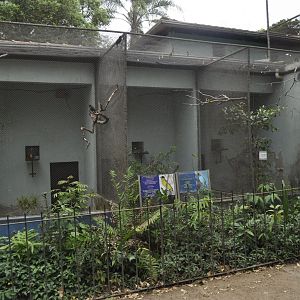 "House of birds", block of small aviairies coupled with a larger non walkable aviary