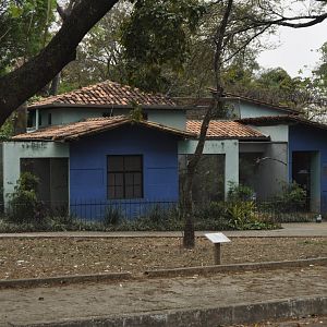 "House of birds", block of small aviairies coupled with a larger non walkable aviary