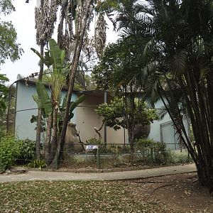Other block of aviaries with vultures and ibis