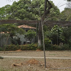 "House of birds", block of small aviairies coupled with a larger non walkable aviary