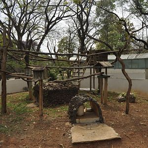 Porcupines, tamandua and aguti enclosure