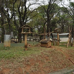 Other tamandua enclosure