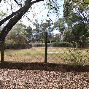 Typical ungulate enclosure