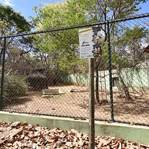 Maned wolf enclosure