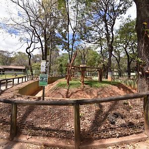 South-american mammals area