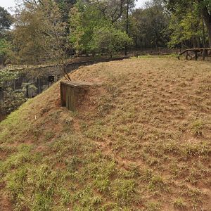 Typical carnivore pit