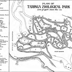 Taronga Zoo Map 1920