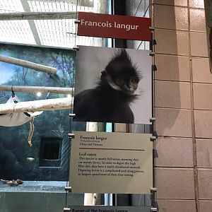 Francois langur sign
