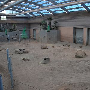 Interior of the new part of the elephant house