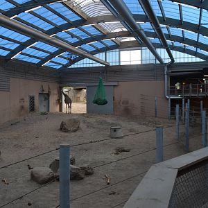 Interior of the new part of the extended elephant house