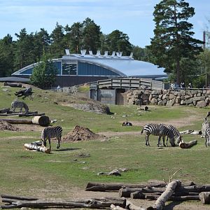 The savannah and the elephant house