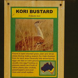 Confusing signage - Caversham Wildlife Park