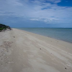 Campbell Island Beach
