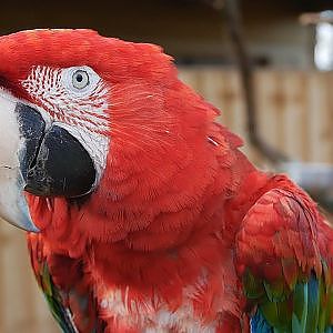 Paul & Lynsey's Zoo Tour #98 Exotic Zoo ARMADILLO EXPERIENCE - YouTube