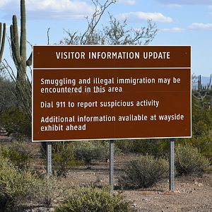 The Risk of Enjoying Nature