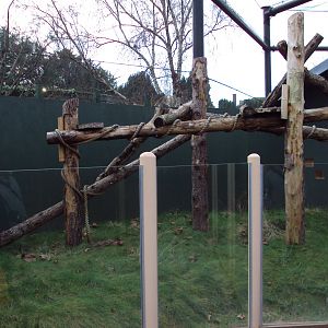 View of Tree Kangaroo exhibit 27/12/2018
