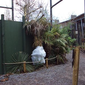View of Tree Kangaroo exhibit 27/12/2018