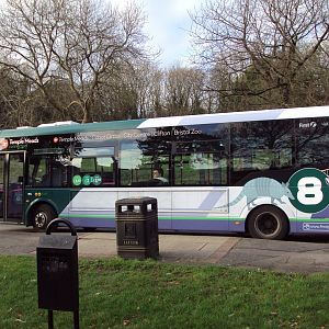 View of zoo liveried Bus pulling into the bus stop 27/12/2018