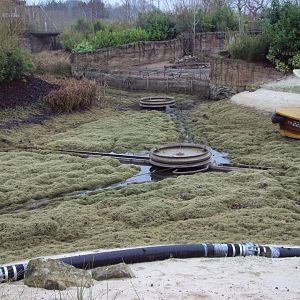 Drained Boat ride in Islands 17/01/2019