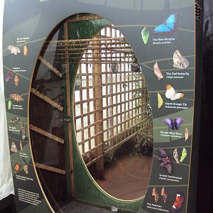 View of nursery rearing room 28/05/2019