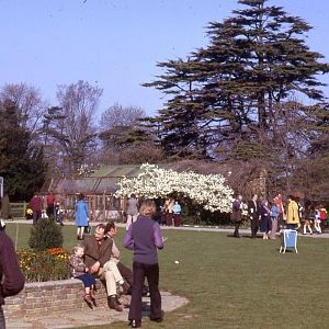 Colchester Zoo many years ago (I’m guessing this is what used to be the lawn where play parks have since stood)