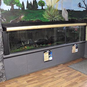 Aquatic exhibits 28/05/2019