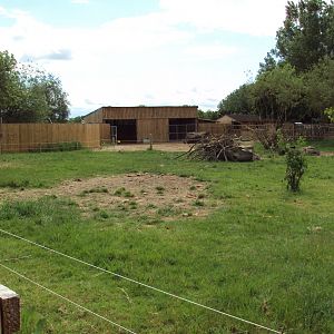 View of Bactrian Camel enclosure 29/05/2019